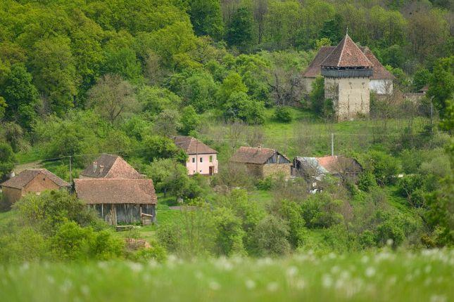 Farmhouse stay in Transylvania