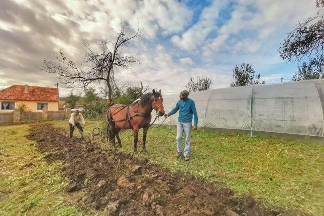 volunteer tourism romania