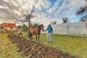 romania country visit