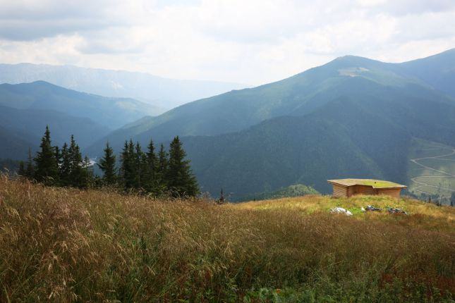 Spring on the alpine pastures