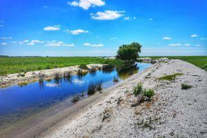 Day 1: Departure from Tulcea & entering the Danube Delta