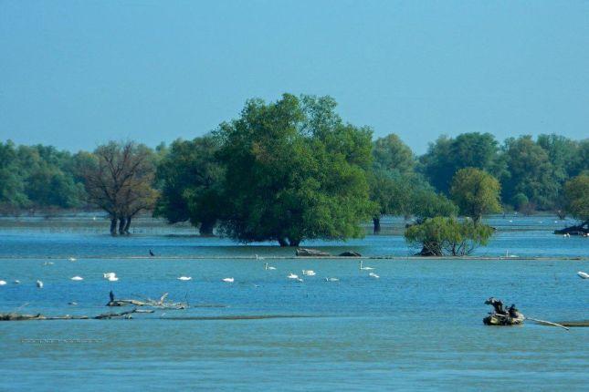 Best of Danube Delta tour