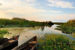 The spectacular Danube Delta: Nature's Miracle Garden