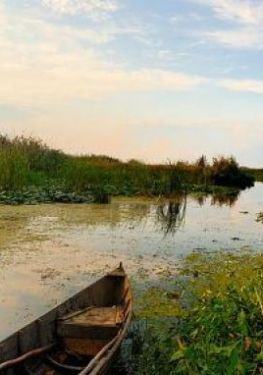 15 Things to do in the Danube Delta