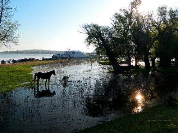 UNESCO Danube Delta