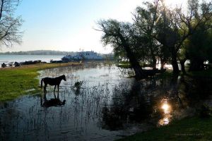 [Tour extension] 2 days in the Delta + visit Constanta on day 3