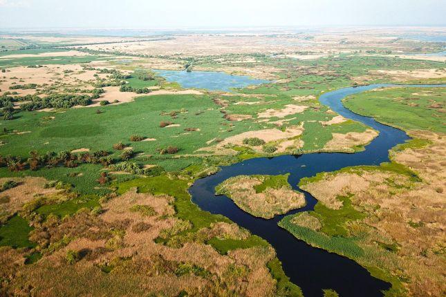 Birdwatching Danube Delta tour 