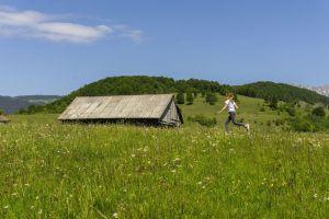 Hike in the beautiful Carpathian Mountains