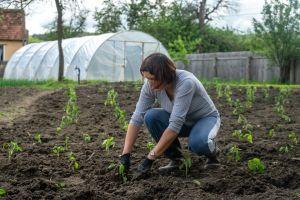 Day 1 - Life at a Transylvanian farm