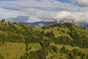 The Carpathian Mountains