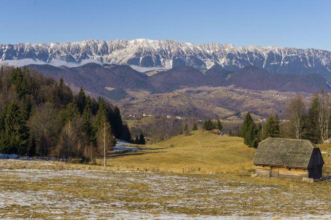 Hiking in Carpathian Mountains