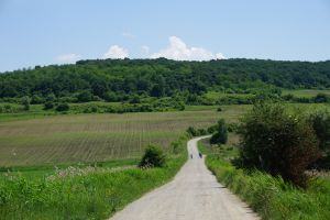 Transylvania Bike Trails