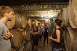 Premium winery visit & tasting