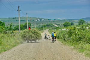 A bike ride in Romania's vineyards