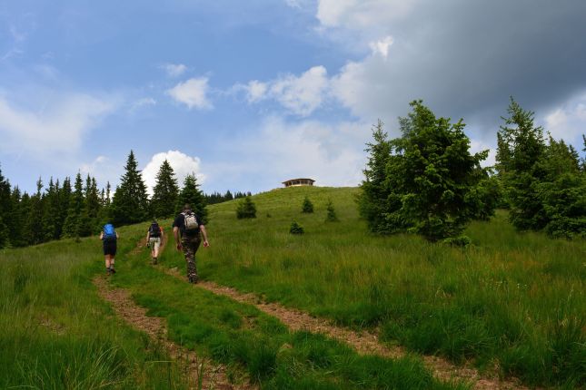 The ridge of Fagaras Mountains