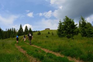 Romanian Adventures & Wildlife Tours