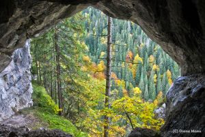 Hike on wild trails in Apuseni Mountains: go through caves & feel like an 'outlaw'