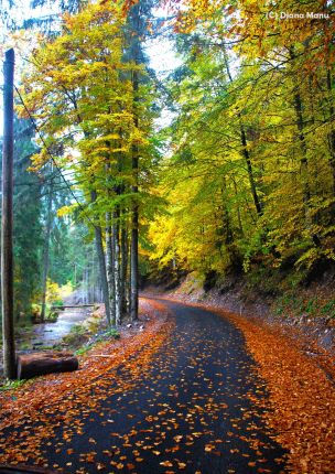 Hike Cluj Napoca