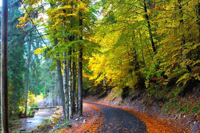 Hike Cluj Napoca