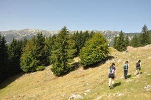 Hike in Piatra Craiului National Park