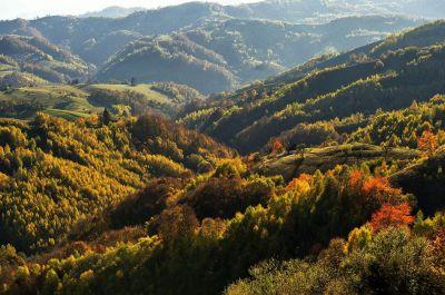 Snapshot of traveller