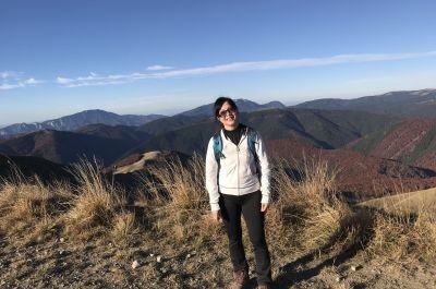 Snapshot of traveller