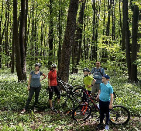 forest trails