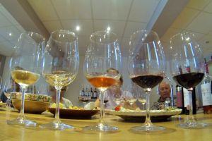 Excellent quality wine tasting