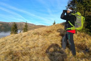 Days 2 & 3: Hiking and wildlife observation trips