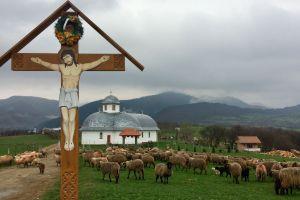 Sheepfold near the village