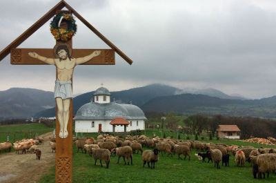 Snapshot of traveller