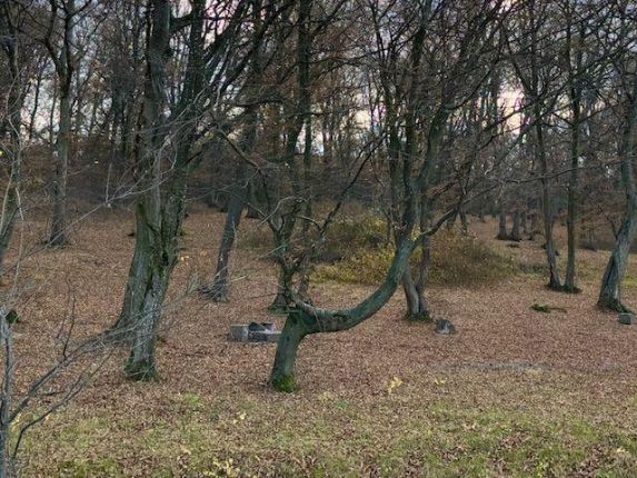 Snapshot of traveller