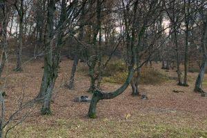 Snapshot of traveller