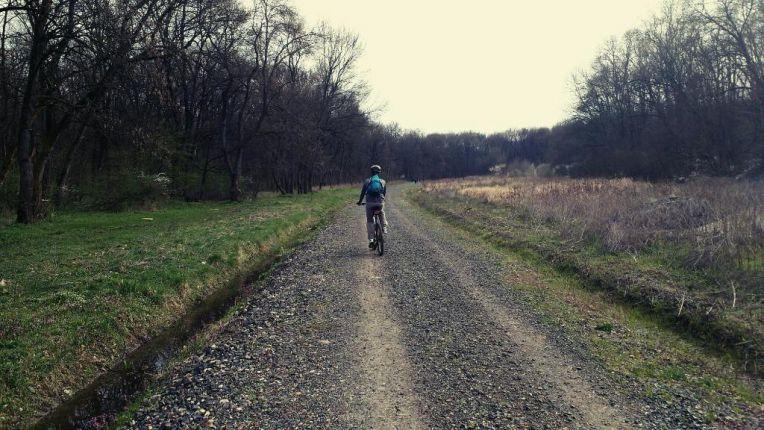 Cycling trough the Green Forest near Timisoara