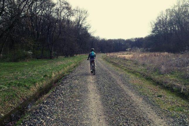 Cycling trough the Green Forest near Timisoara