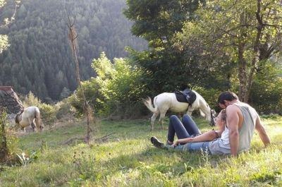 Snapshot of traveller