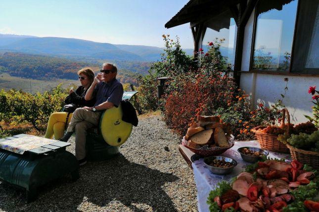 Wine tasting tour in Transylvania