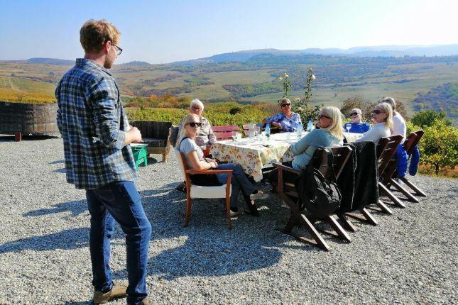 Wine Tasting in Transylvania