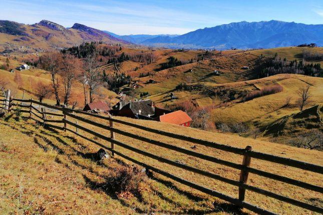 Hiking tour in the Carpathians