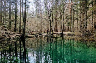 Snapshot of traveller