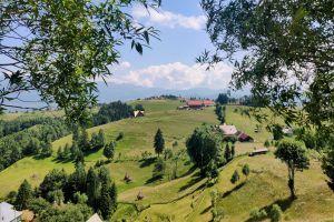 Day 7 - Bran Castle, picturesque hike and bears in the wild!