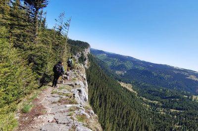 Snapshot of traveller