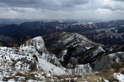 Snapshot of traveller