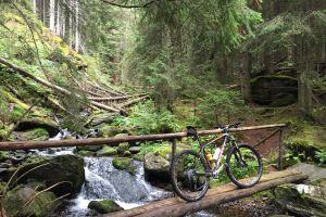 Biking in the area? YES please.