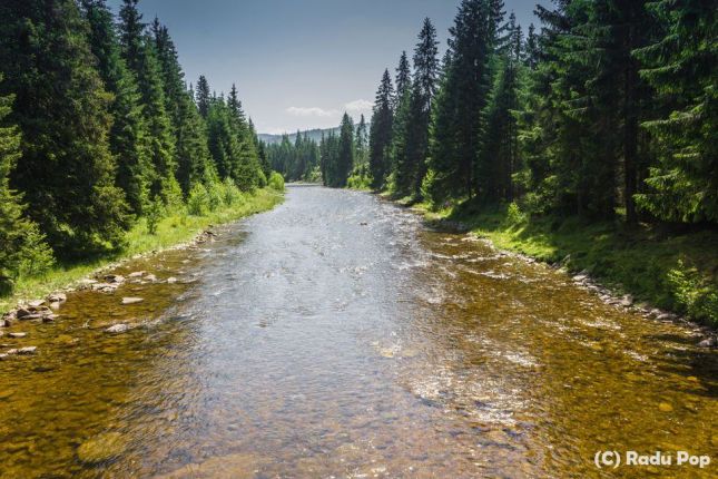 Hike to Apuseni Natural Park 