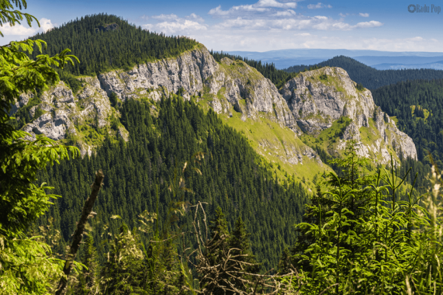 Hiking tour from Cluj-Napoca