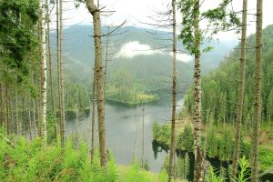 Hiking in Fagaras Mountains