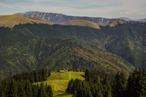 Admire wild landscapes