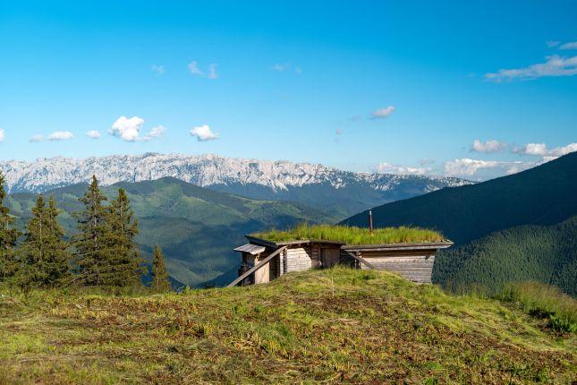 Spring on the alpine pastures