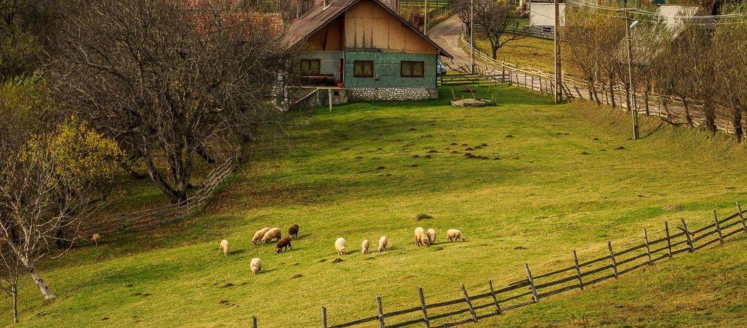 10 Authentic Romanian Villages: Where Rural Life Still Feels Real